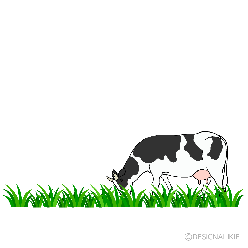 Eating Cow in Pasture