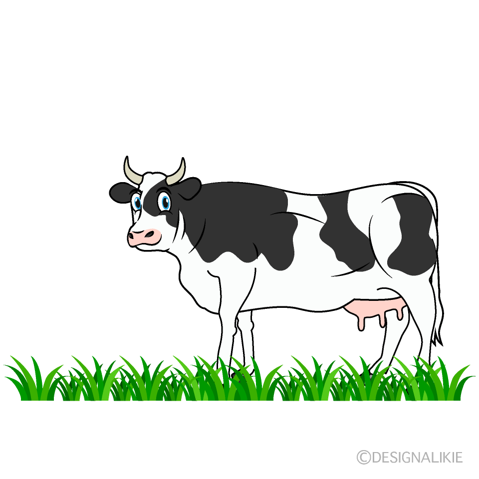 Cow in Pasture