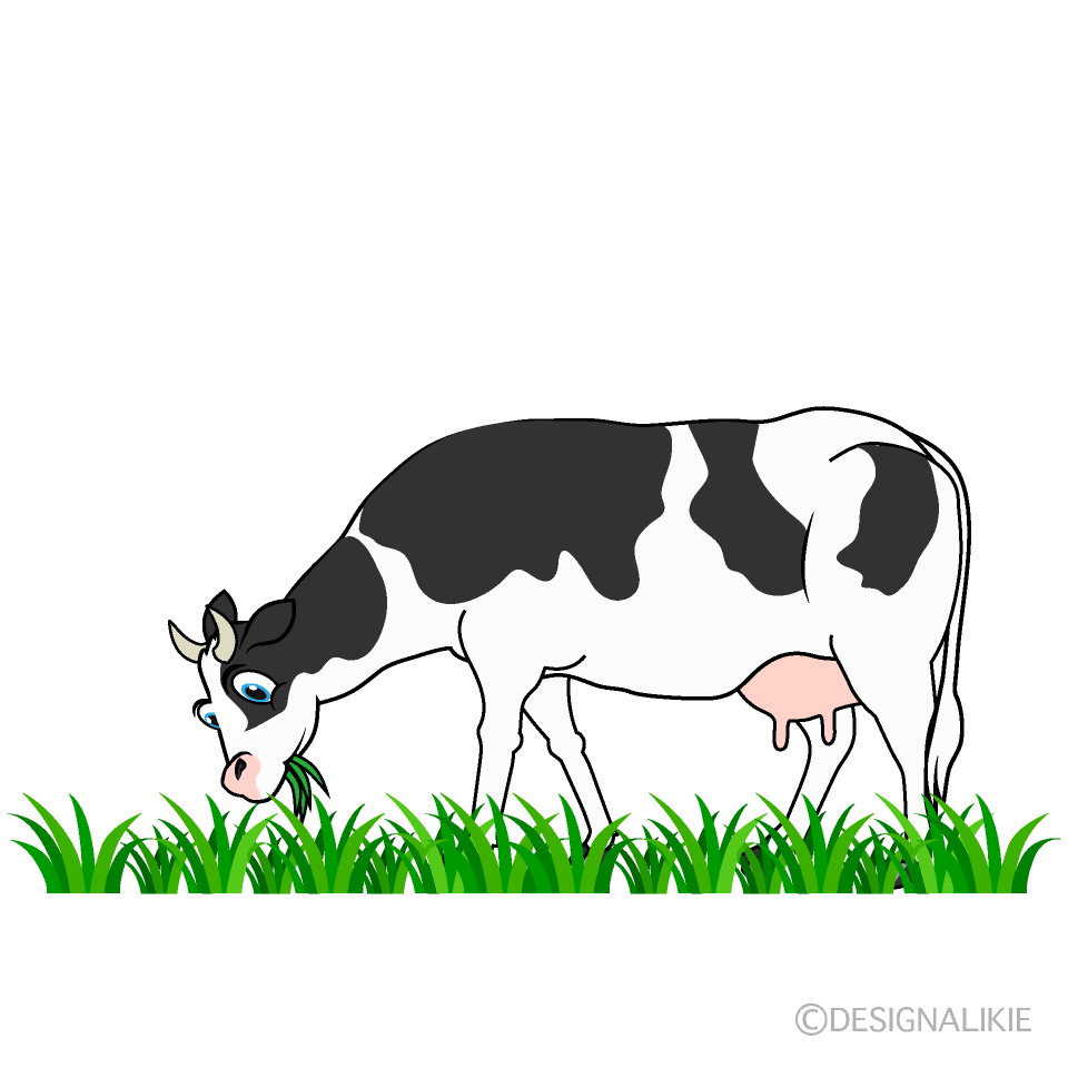 Vaca Comiendo en Pastizal