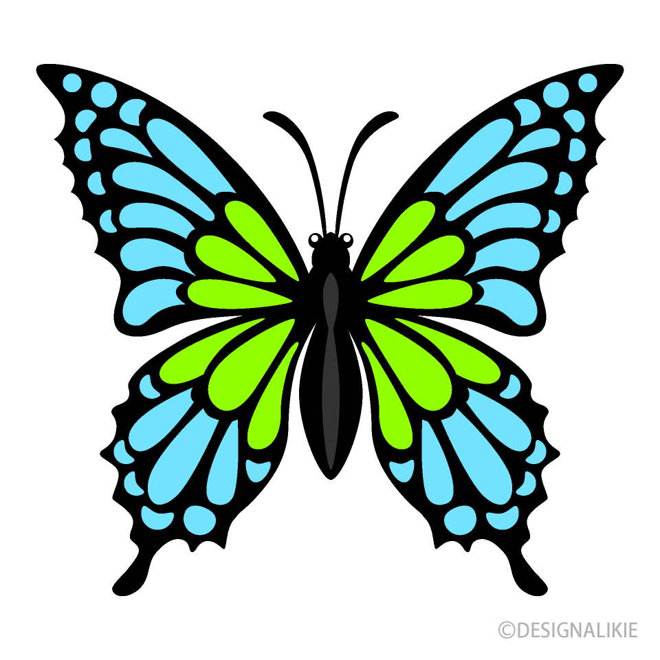 Blue Green Butterfly Clip Art Free PNG Image｜Illustoon