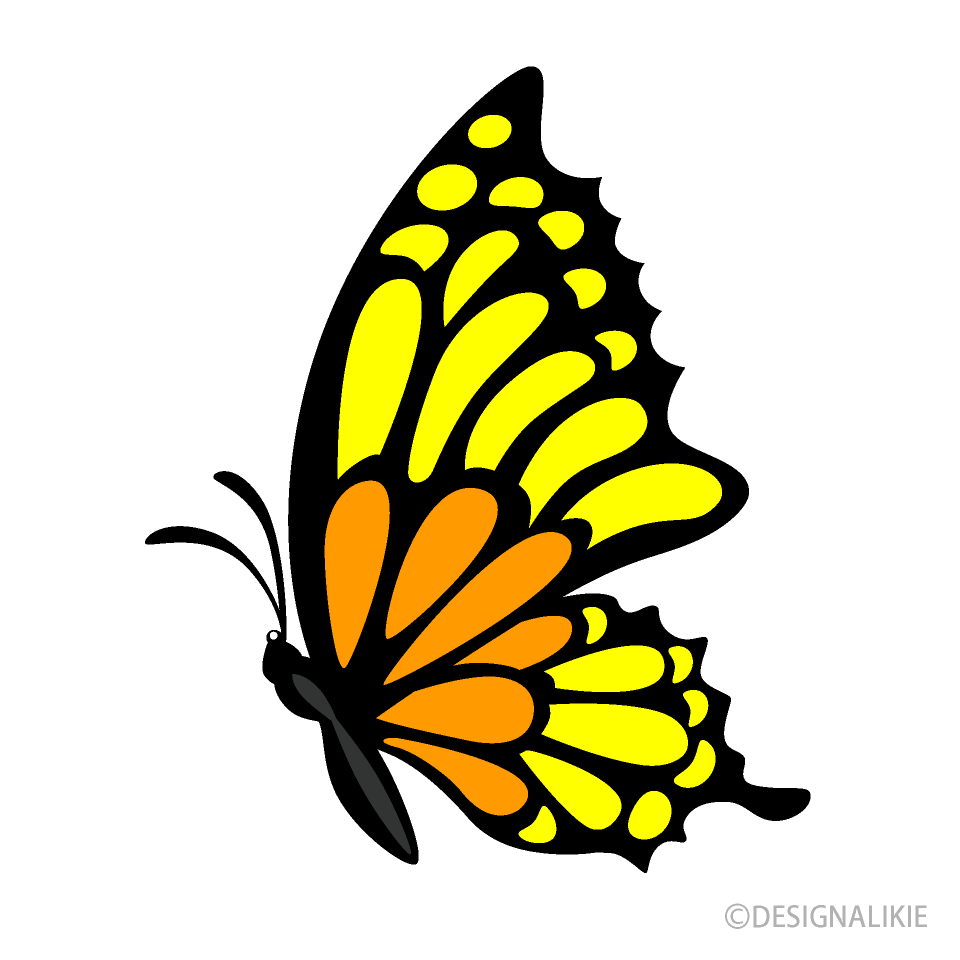 Yellow Orange Butterfly Side