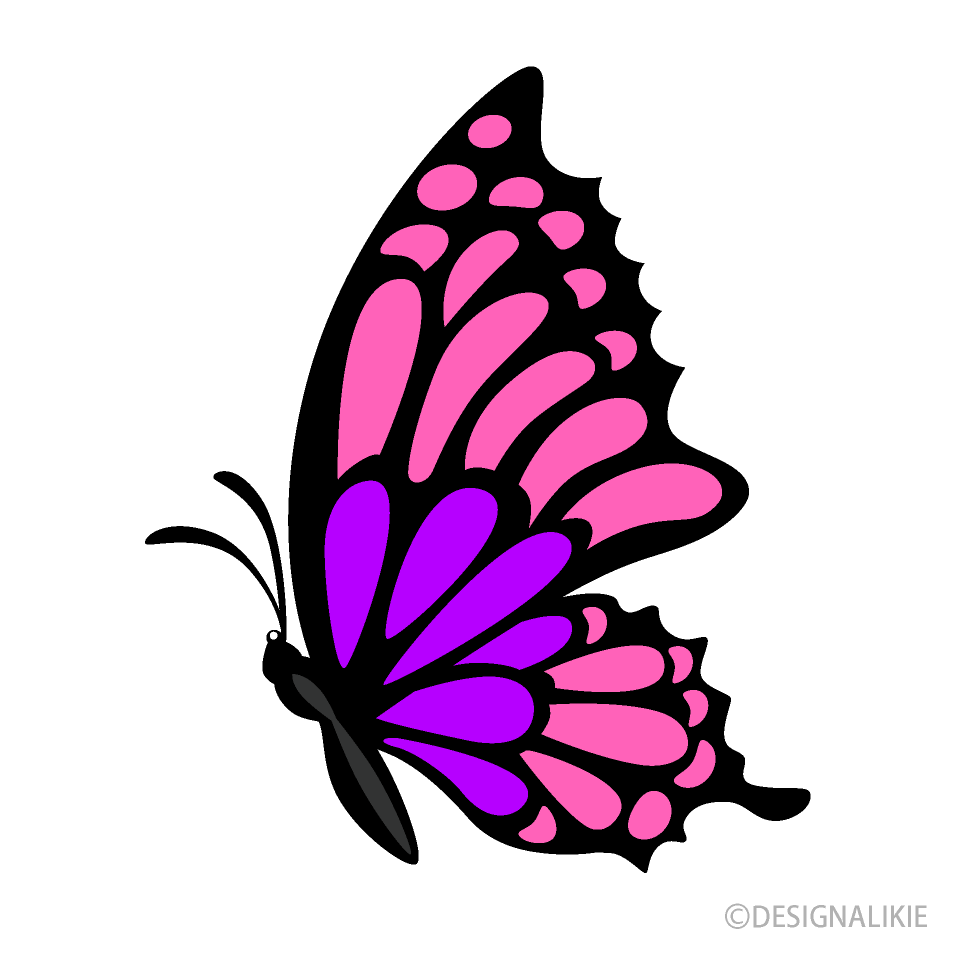 Pink Purple Butterfly Side