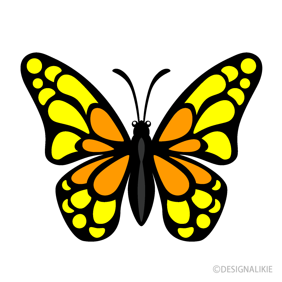 Small Yellow Orange Butterfly