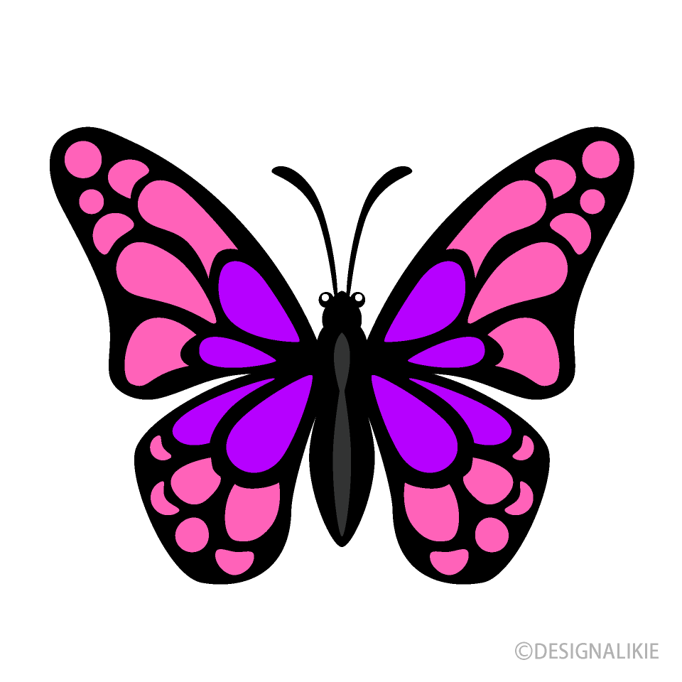Small Pink Purple Butterfly