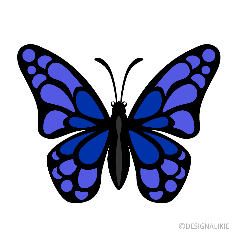 Small Blue Navy Butterfly