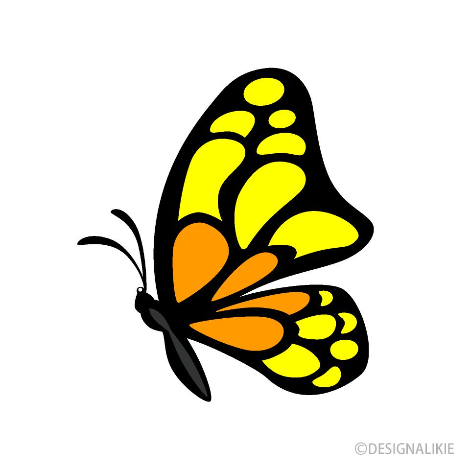Small Yellow Orange Butterfly Side