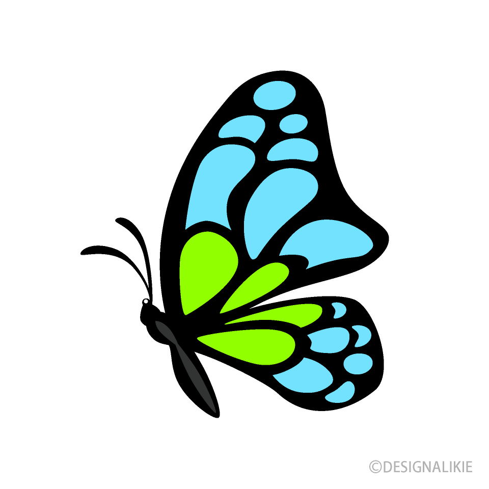 Small Blue Green Butterfly Side