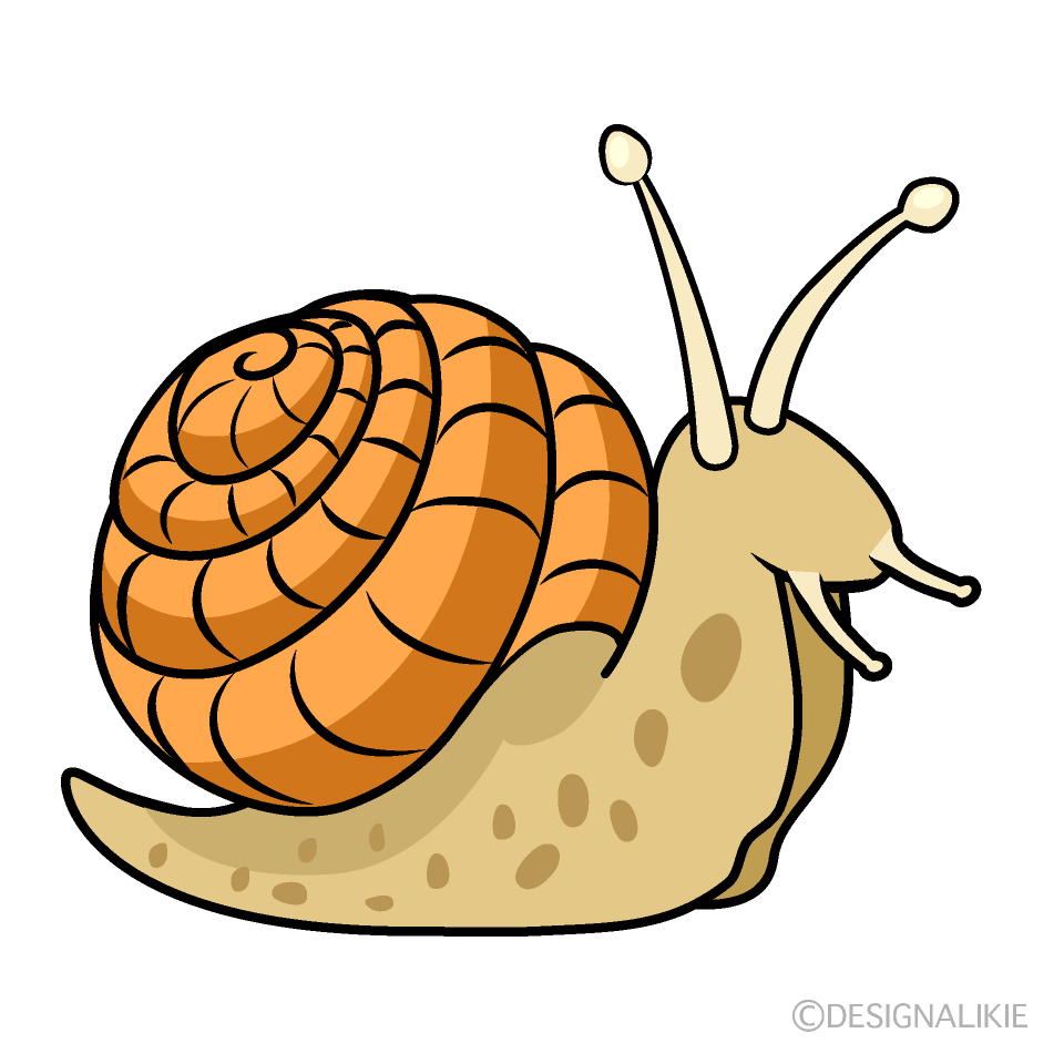 free snail clip art