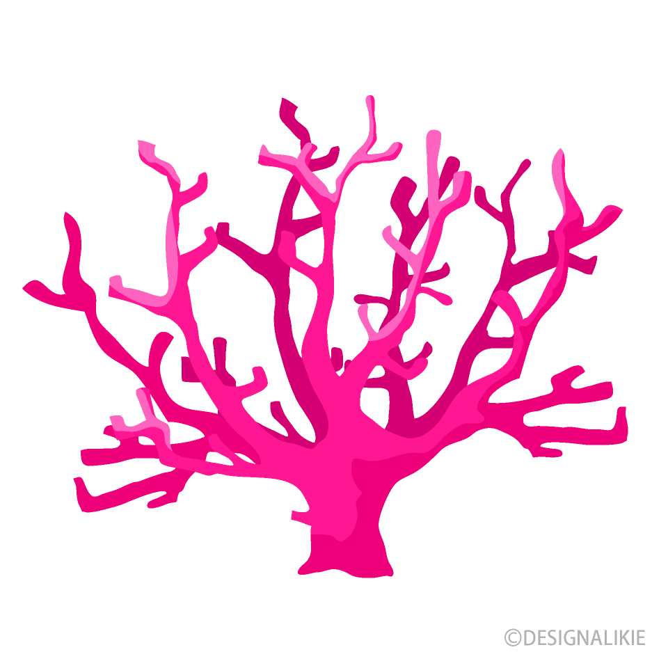 Pink Coral Clip Art Free PNG Image｜Illustoon