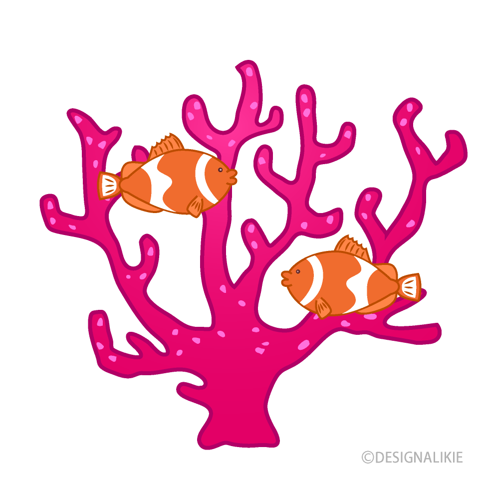 Coral with clownfish