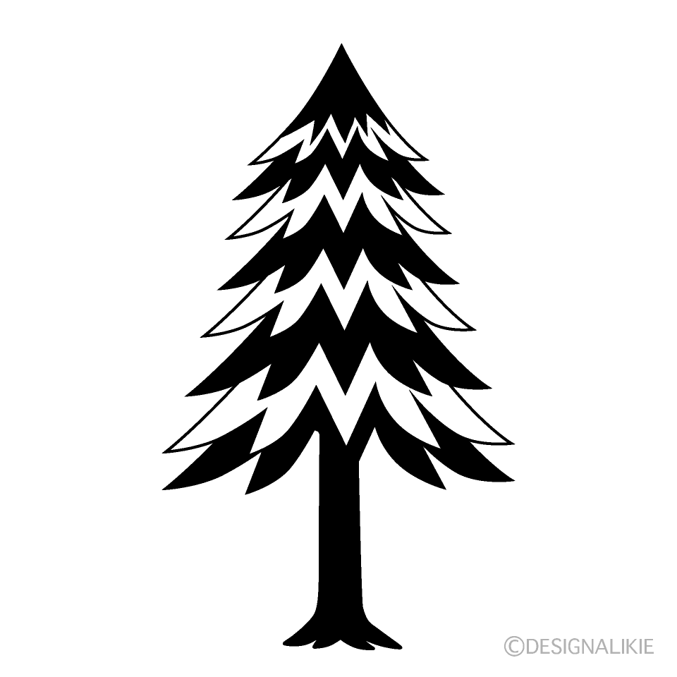 Conifer Tree
