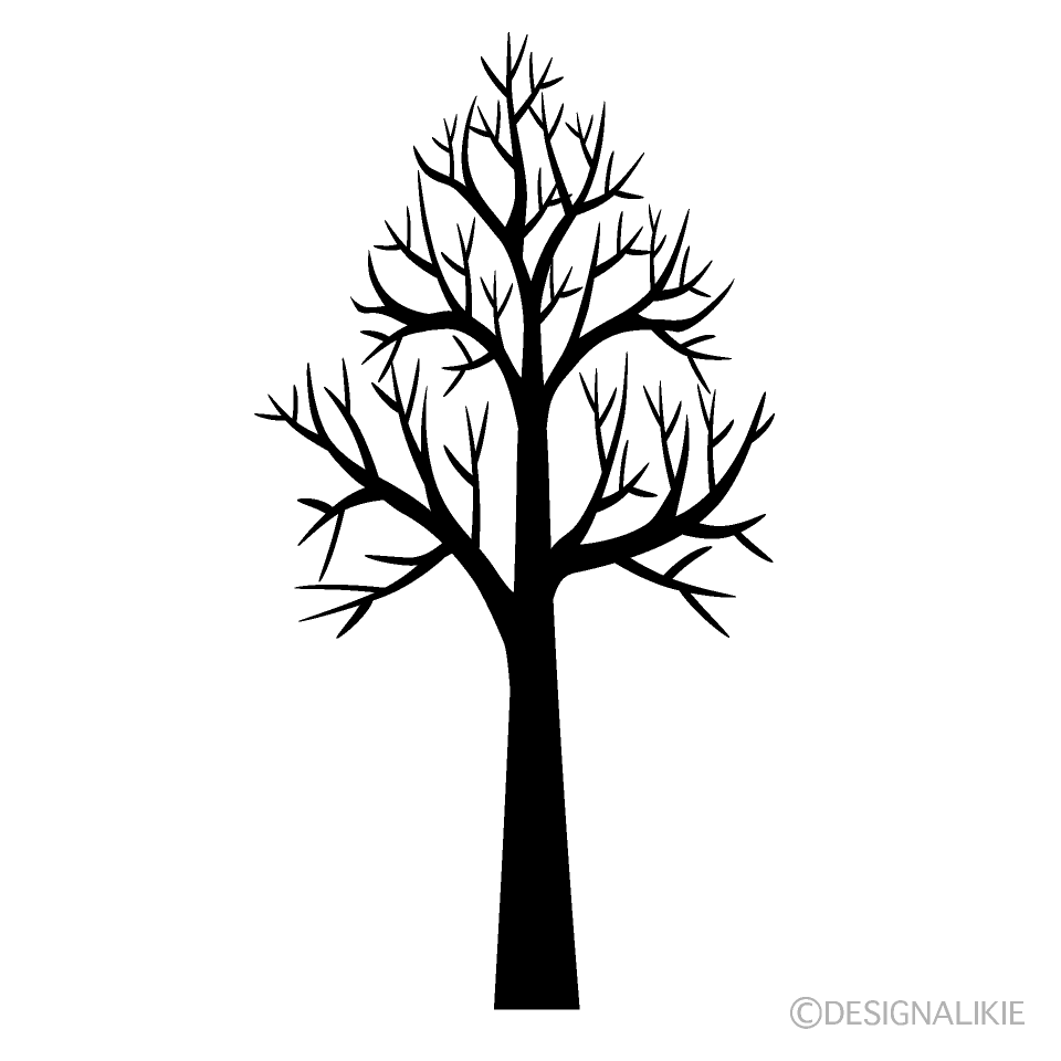 Deciduous Tall Tree
