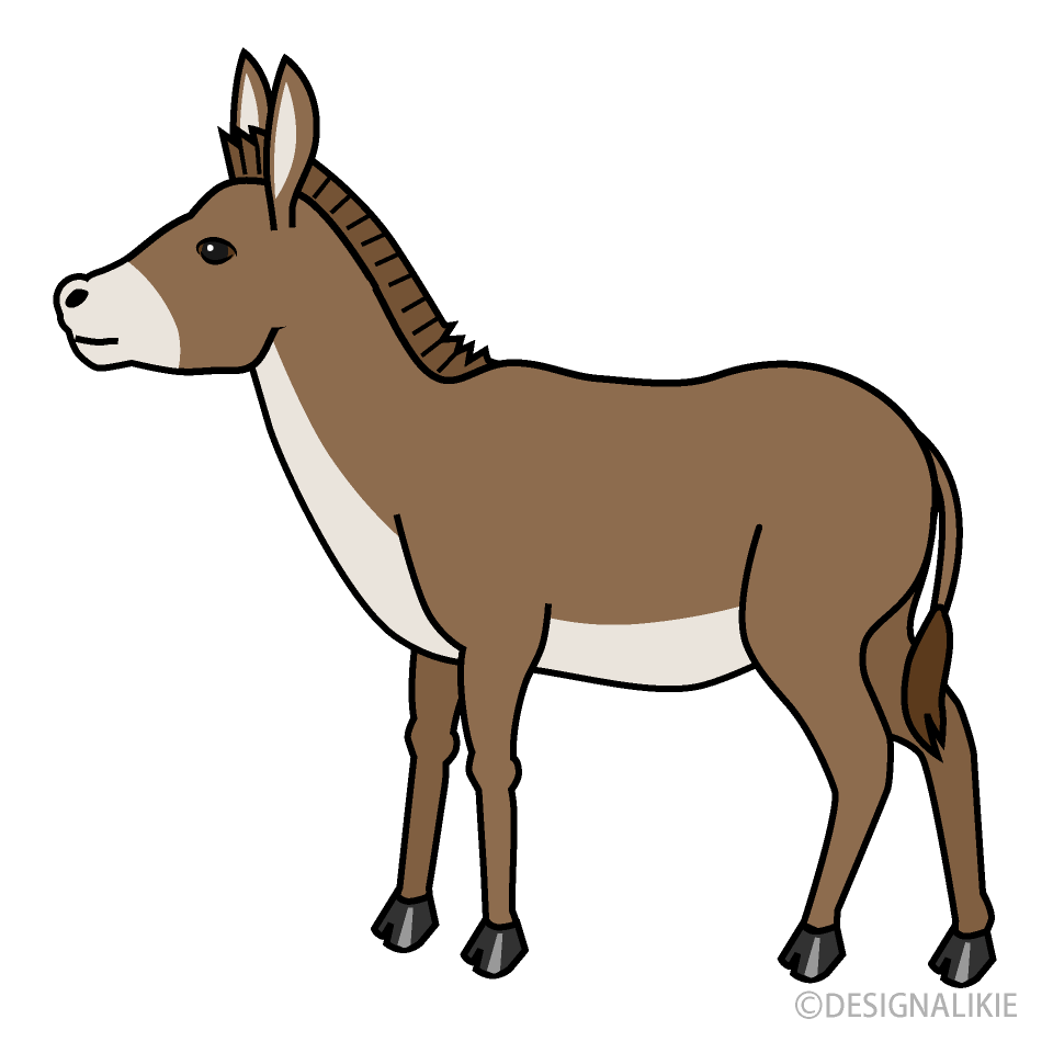 Burro transparent background PNG cliparts free download