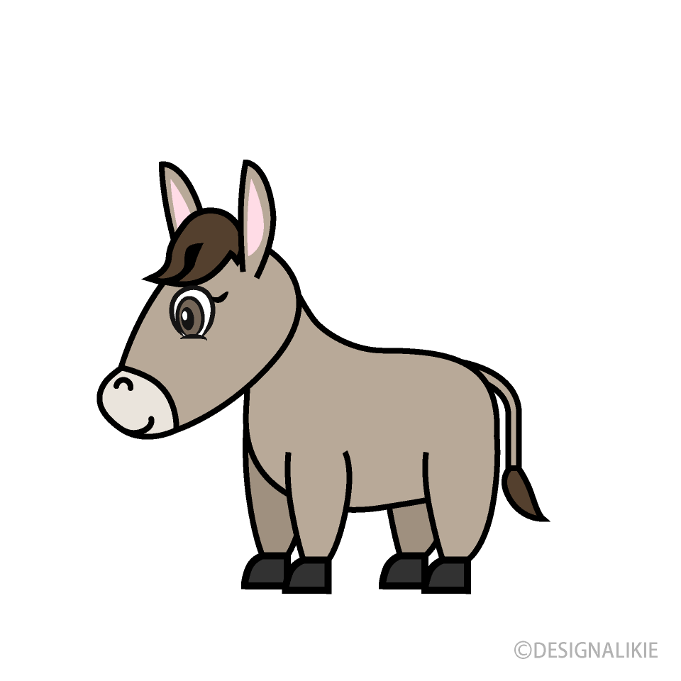 Taupe Donkey Foal