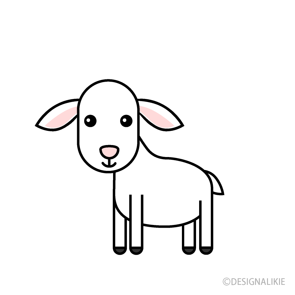 Cute Baby Goat