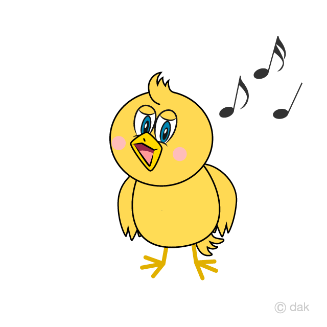 Polluelo que canta