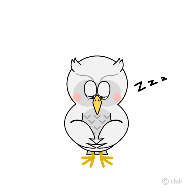 Sleeping White Owl Cartoon Free PNG Image｜Illustoon