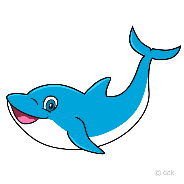 Dolphin Cartoon Free PNG Image｜Illustoon