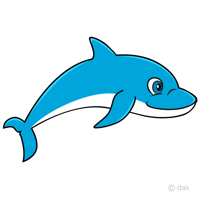 Swimming Dolphin Cartoon Free PNG Image｜Illustoon
