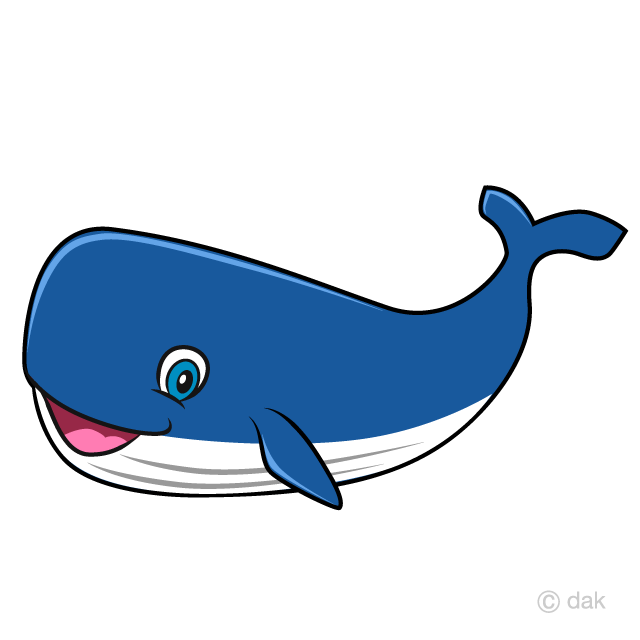 Whale Cartoon Free PNG Image｜Illustoon