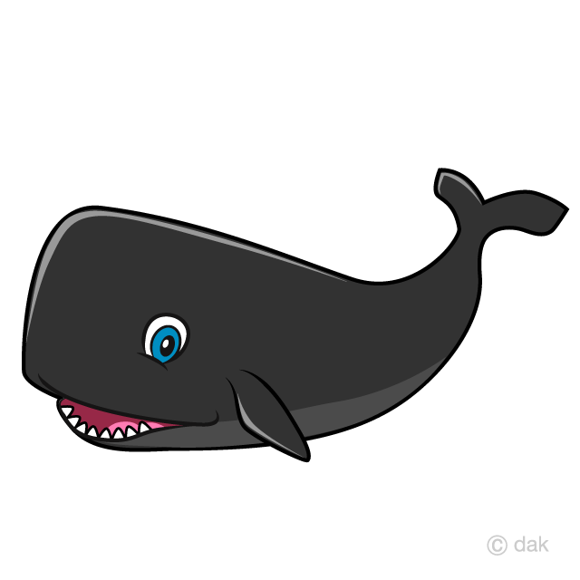 Sperm Whale Cartoon Free PNG Image｜Illustoon