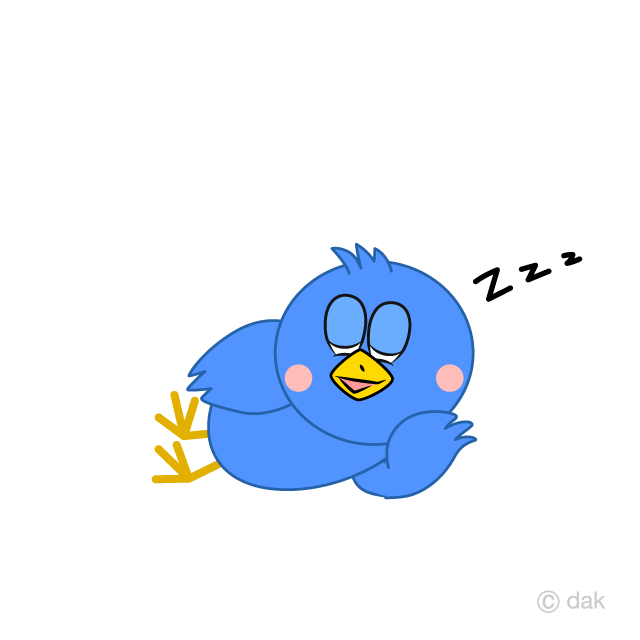 Pájaro azul durmiendo