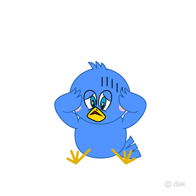 Pájaro azul deprimido