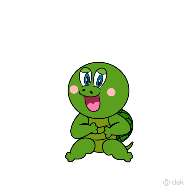 Laughing Turtle