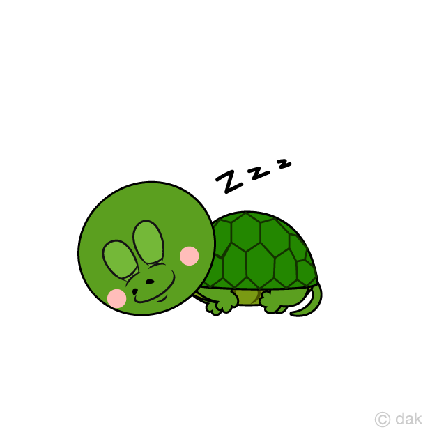 Sleeping Turtle