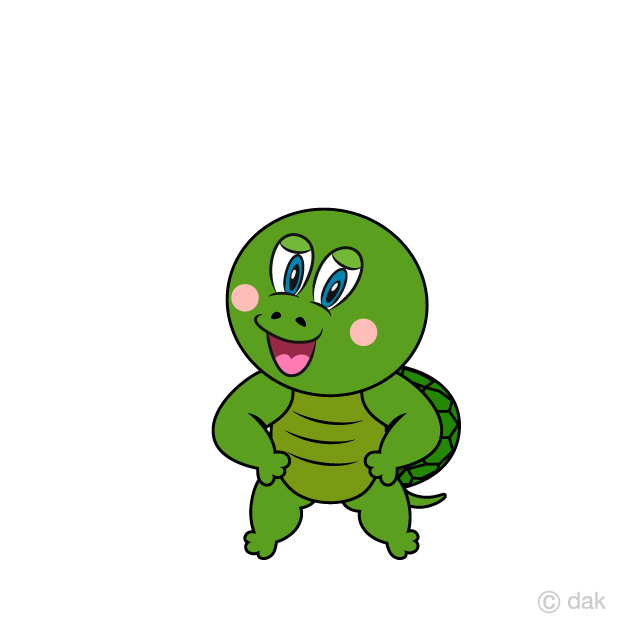 Confidently Turtle
