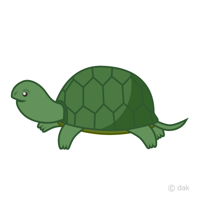 Cute Green Tortoise