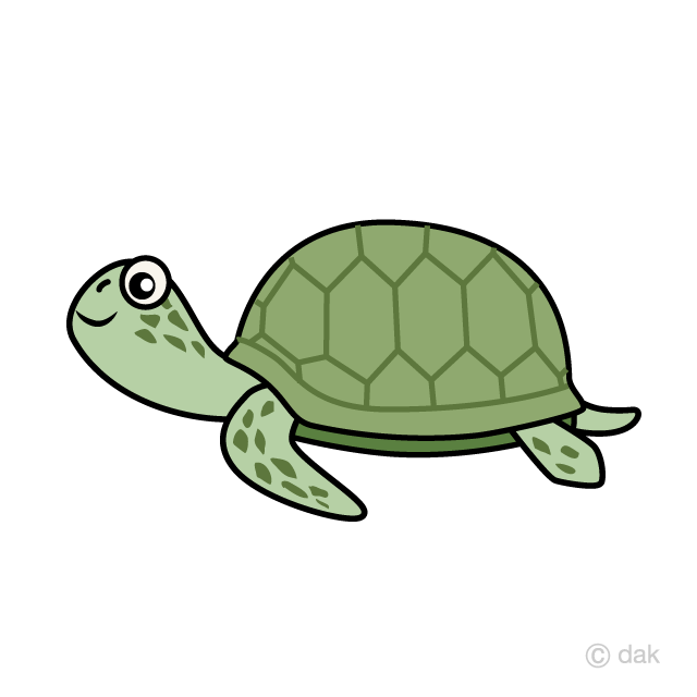 Green Sea Turtle Cartoon Free PNG Image｜Illustoon