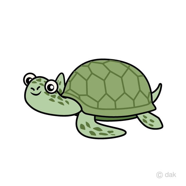 Green Sea Turtle Swimming Cartoon Free PNG Image｜Illustoon