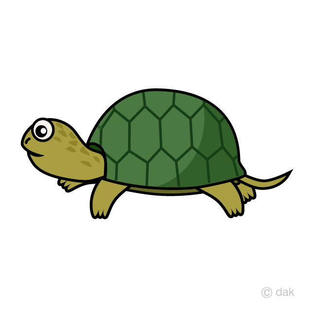 Tortoise Cartoon Free PNG Image｜Illustoon