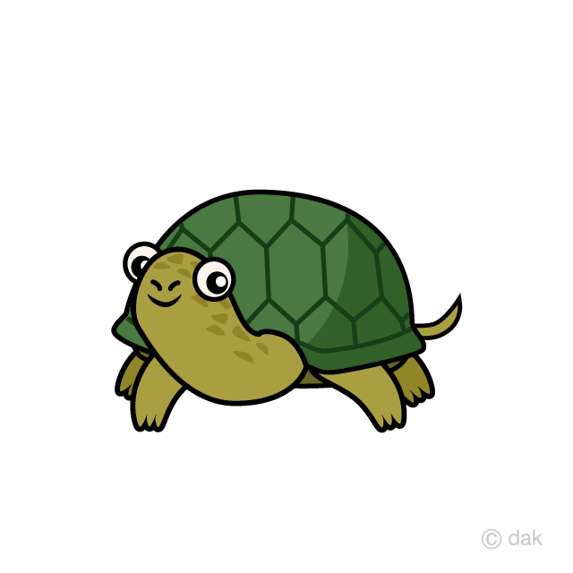 Front Tortoise Cartoon Free PNG Image｜Illustoon
