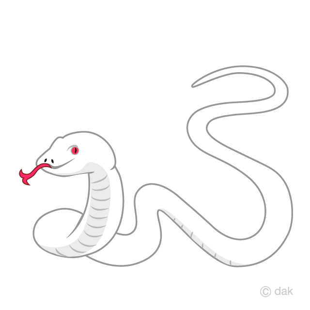 Winding White Snake