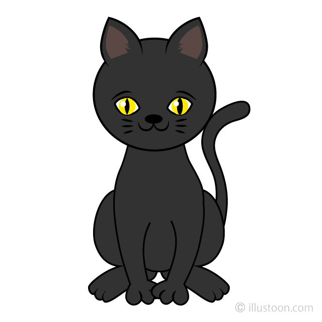 black cat transparent