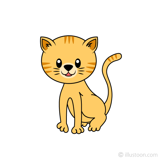 Tiger Kitten