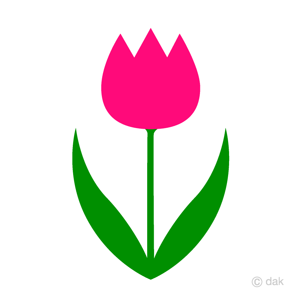 Tulipán rojo simple
