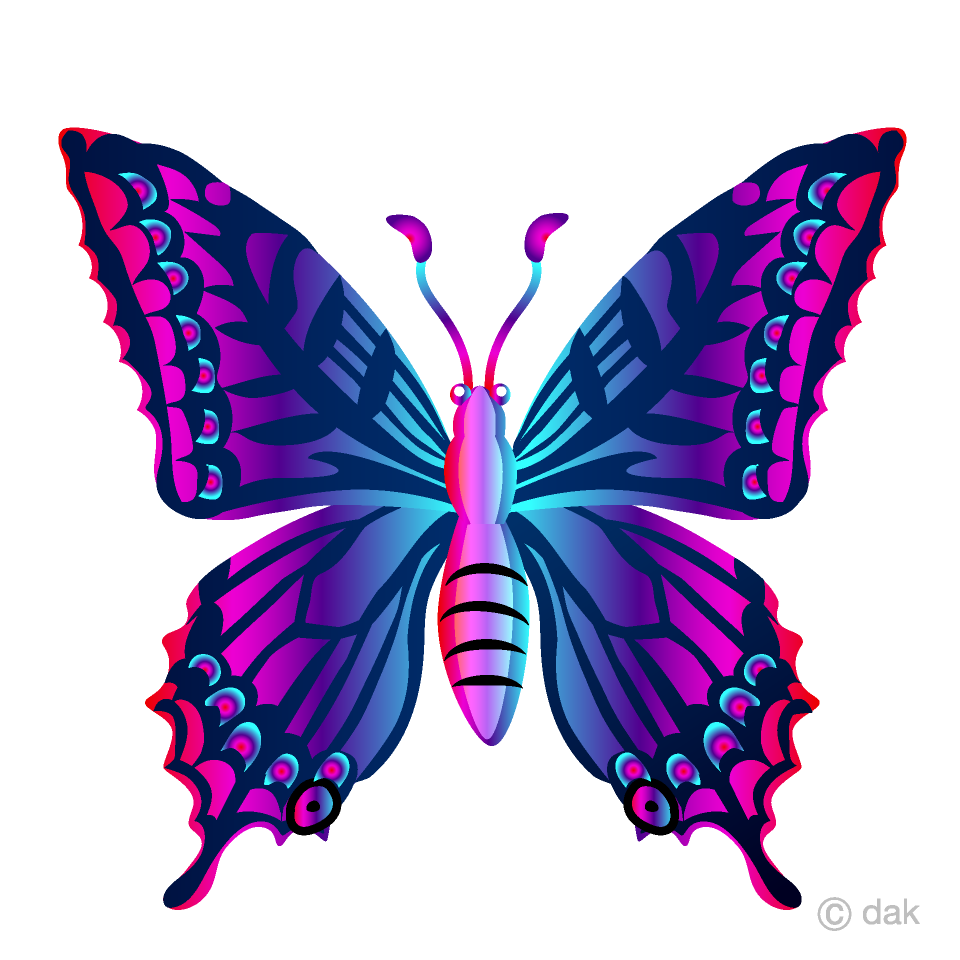 Purple Colorful Butterfly