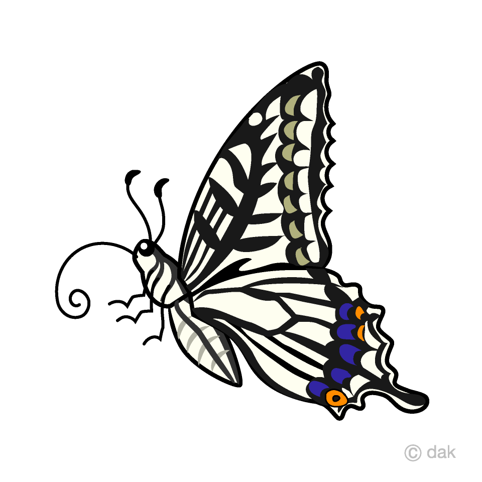 Swallowtail Butterfly with Side