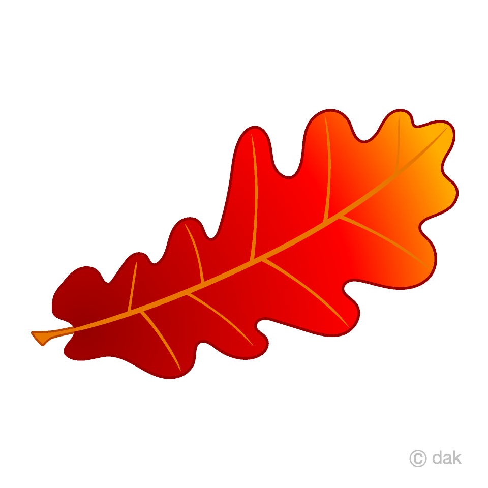 Red Acorn Leaf