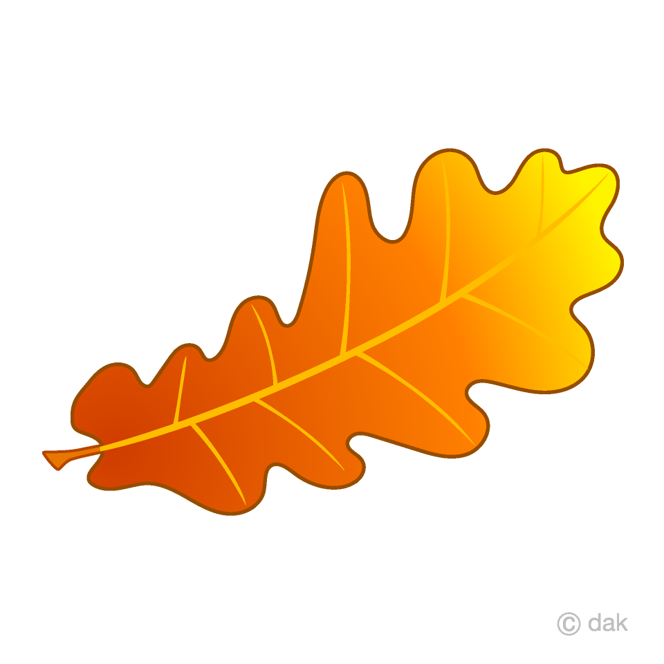 Orange Acorn Leaf