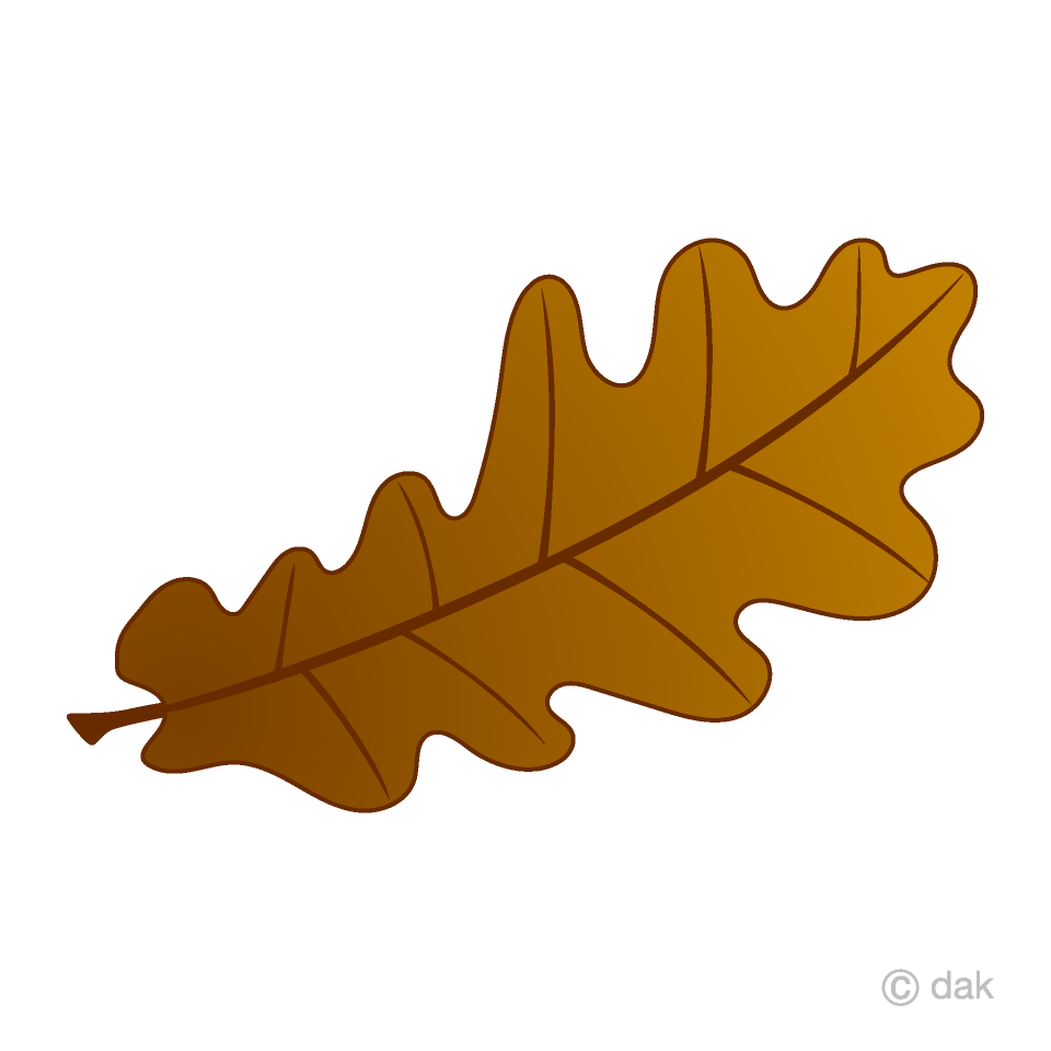 Fallen Acorn Leaf