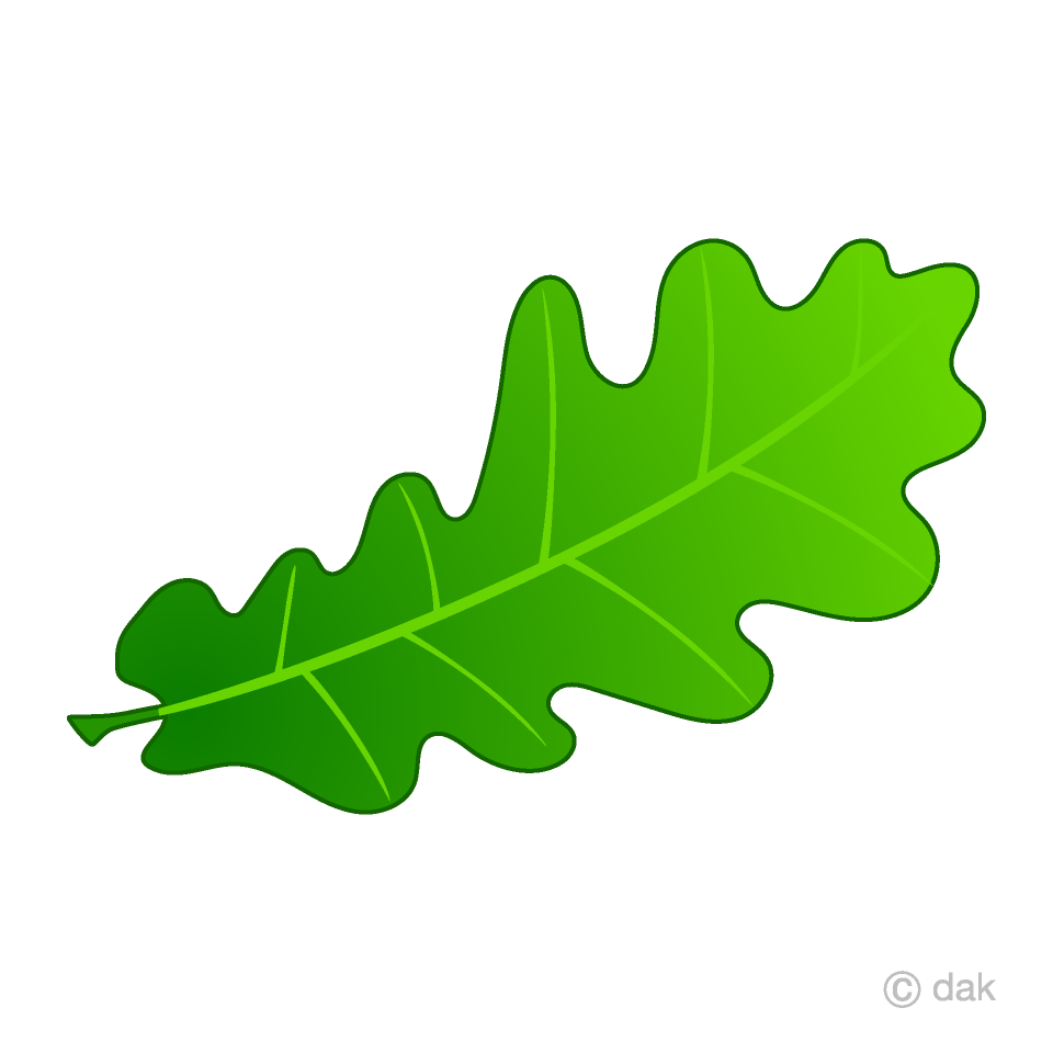 Green Acorn Leaf