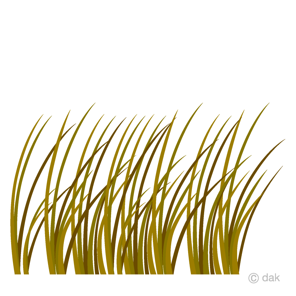 Withered Grass