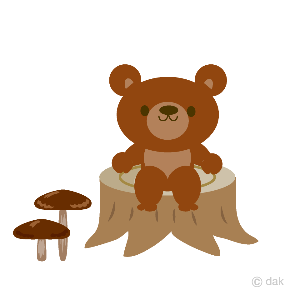 Cute Bear in the Forest