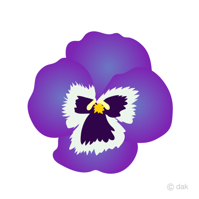 Purple Pansy Flower