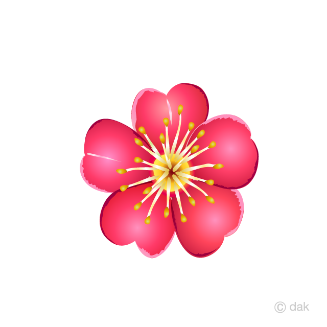 Plum Flower