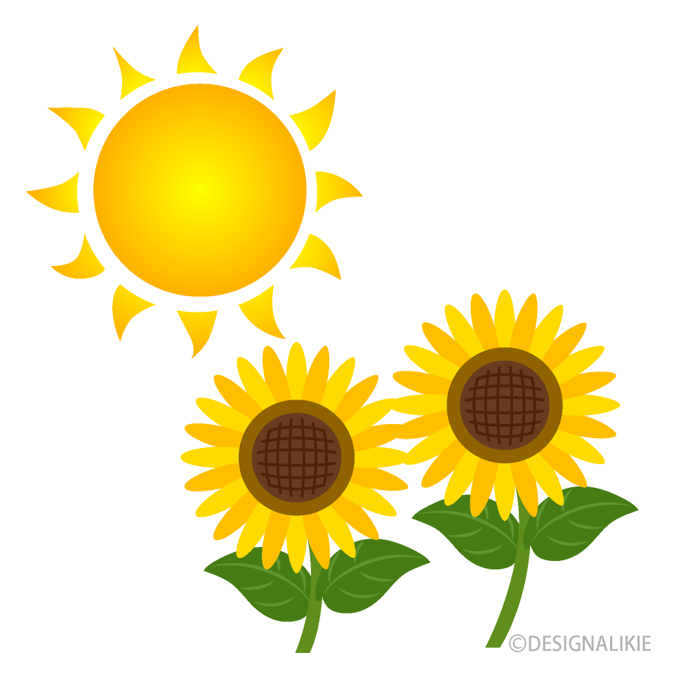 Sun And Sunflower Clipart Free Png Image Illustoon